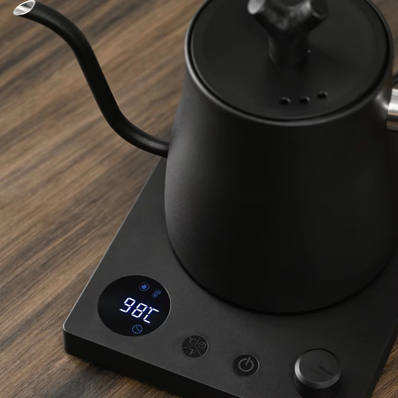 Electric Kettle Gooseneck - 1000ml Schwanenhals-Wasserkocher aus Edelstahl mit Variabler
