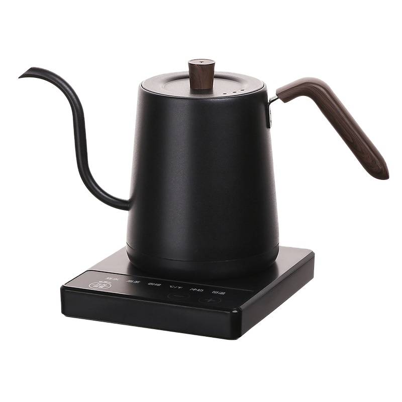 Electric Kettle Gooseneck - Edelstahl-Wasserkocher mit Schwanenhals und Temperaturregelung für
