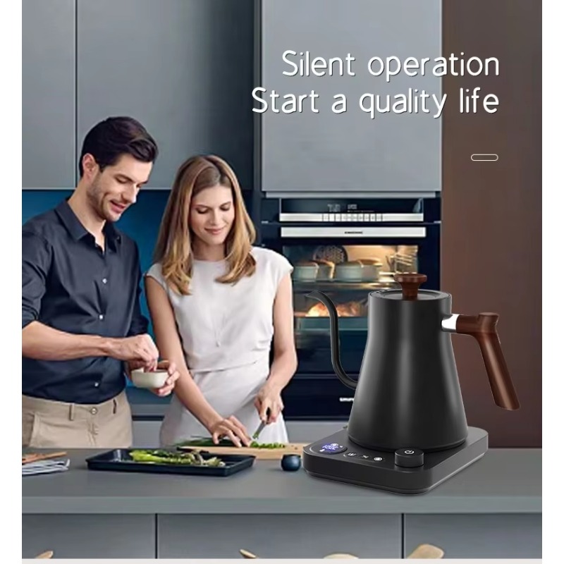 Neues Design Fish Smart Elektr – Electric Kettle Gooseneck Bewertung und Preis