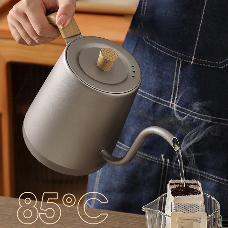 110V/220V Schwanenhals Wasserk – Electric Kettle Gooseneck Bewertung und Preis