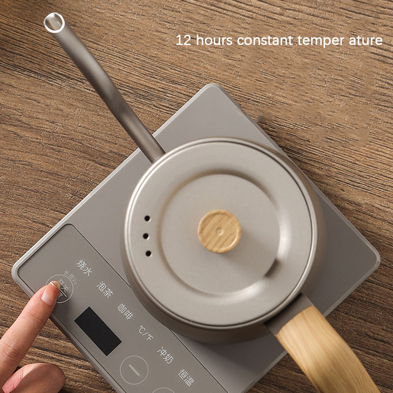 110 V 220 V Wasserkocher Teeka – Electric Kettle Gooseneck Bewertung und Preis