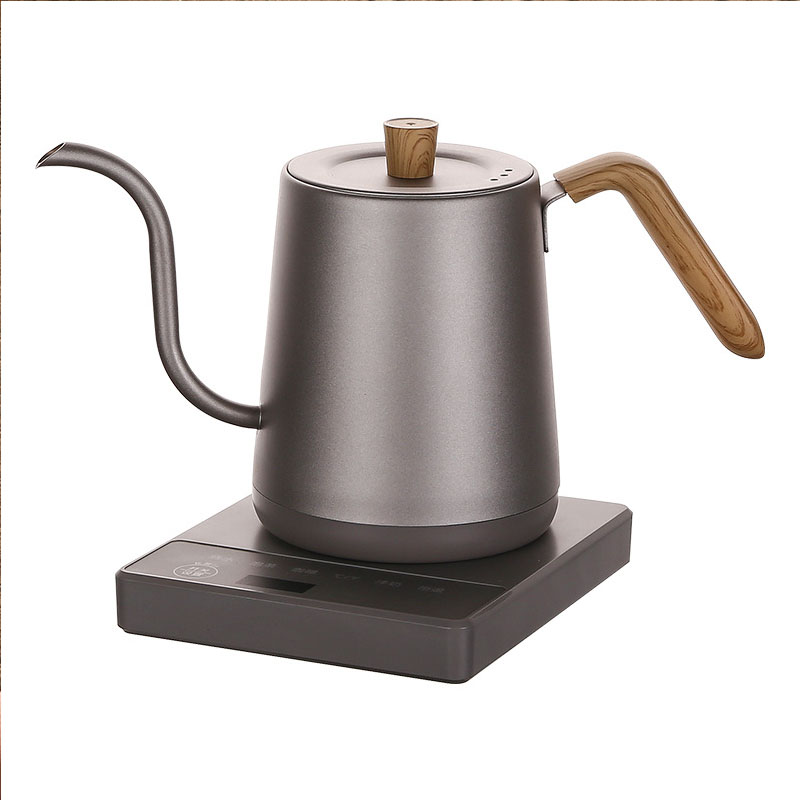 110 V 220 V Wasserkocher Teeka – Electric Kettle Gooseneck Bewertung und Preis
