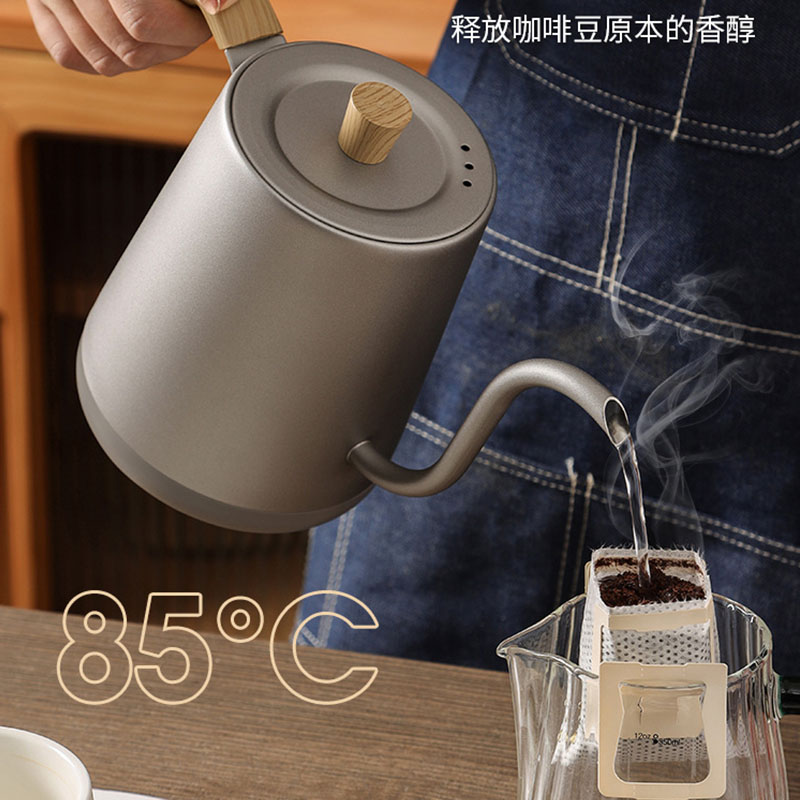 110 V 220 V Wasserkocher Teeka – Electric Kettle Gooseneck Bewertung und Preis