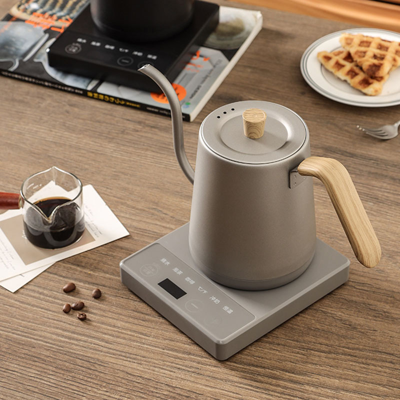110 V 220 V Wasserkocher Teeka – Electric Kettle Gooseneck Bewertung und Preis