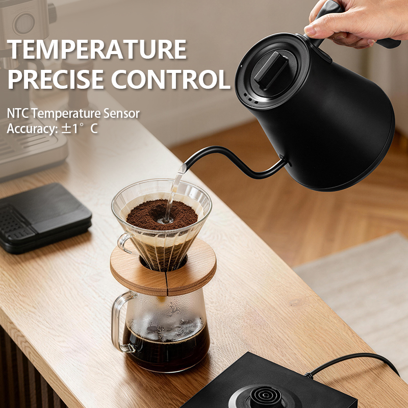 700ML Elektrischer Schwanenhal – Electric Kettle Gooseneck Bewertung und Preis