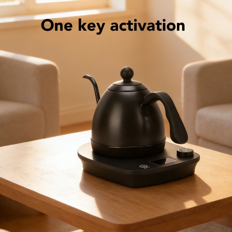 1000W Elektrischer Schwanenhal – Electric Kettle Gooseneck Bewertung und Preis