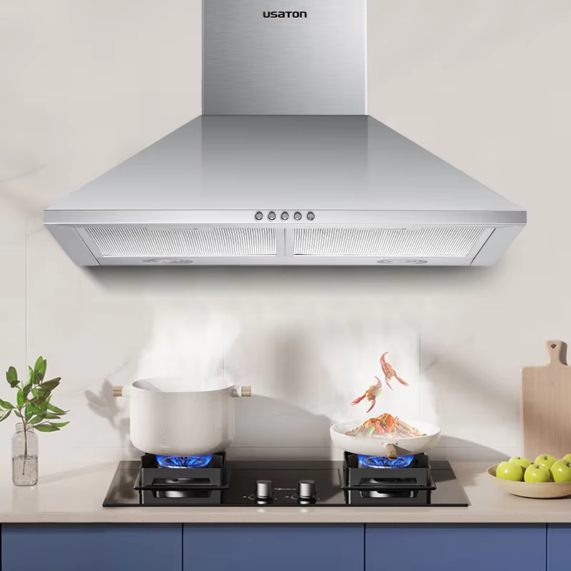 Edelstahl Wandmontierte Dunsta – Kitchen Appliances Price Bewertung und Preis