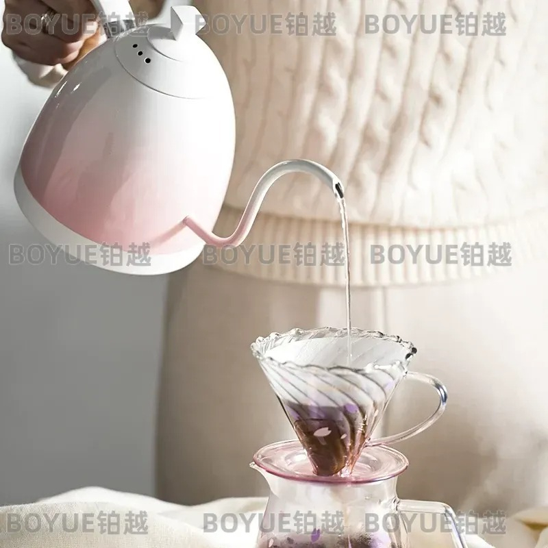 Edelstahl-Schwanenhalskessel m – Electric Kettle Gooseneck Bewertung und Preis