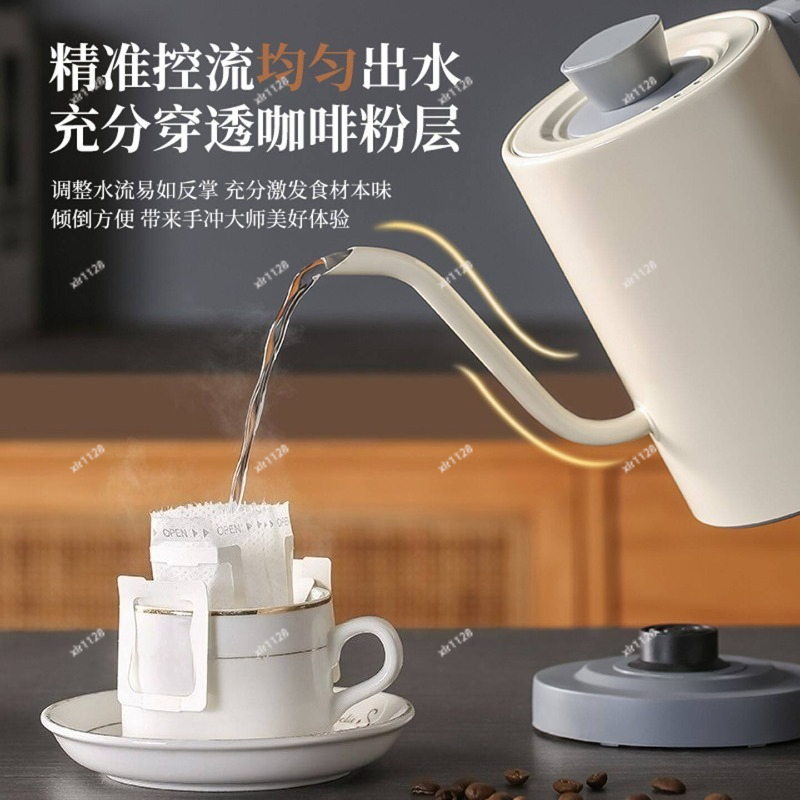 110V Schwanenhals-Wasserkocher – Electric Kettle Gooseneck Bewertung und Preis